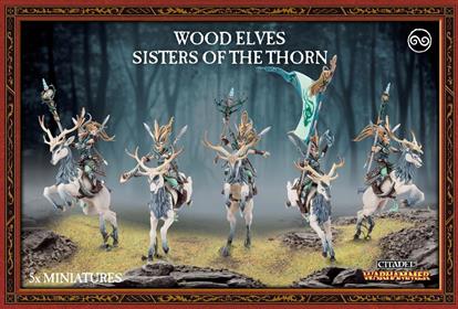 Sisters Of The Thorn Dei Wood Eleves
