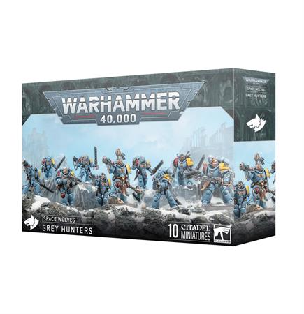 Space Wolves: Cacciatori Grigi