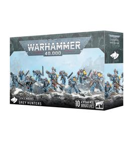 Space Wolves: Cacciatori Grigi