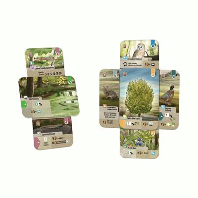 Forest Shuffle: Dartmoor