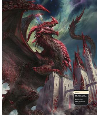 Dungeons & Dragons - Il Libro dei Draghi