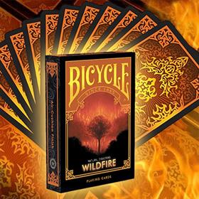 Bicycle - Natural Disasters - Wildfire