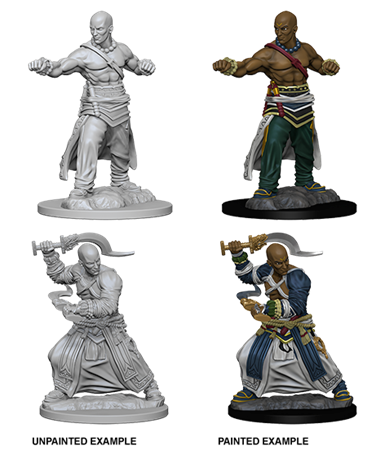 Pathfinder Dcum Human Male Monk