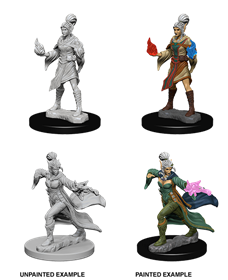 Pathfinder Dcum Elf Female Sorcerer