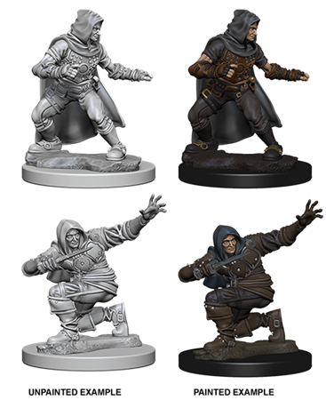 Pathfinder Dcum Human Male Rogue