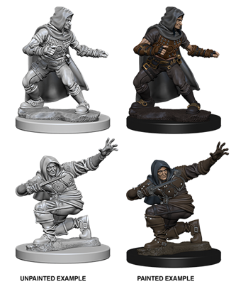 Pathfinder Dcum Human Male Rogue