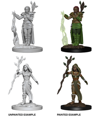 D&d Nolzur Mum Human Female Druid