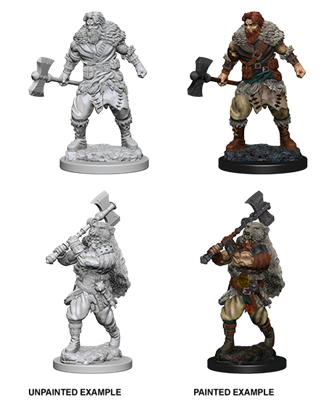 D&d Nolzur Mum Human Male Barbarian