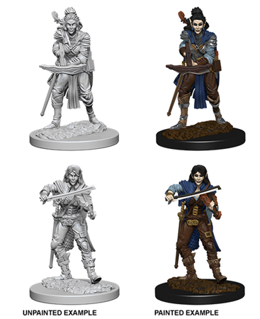 Pathfinder Dcum Elf Female Bard