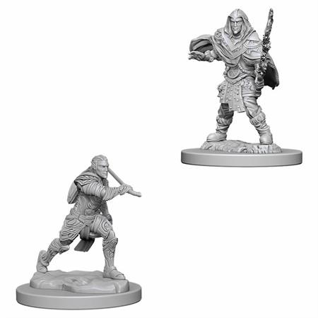 D&d Nolzur Mum Elf Male  Fighter
