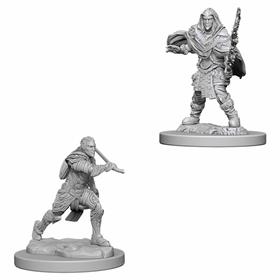 D&d Nolzur Mum Elf Male  Fighter