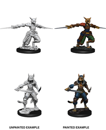 D&d Nolzur Mum Female Tabaxi Rogue