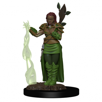 D&d Icons Of The Realms Premium Miniatures - Human Female Druid