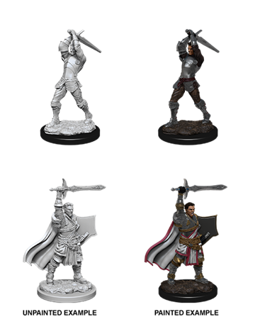 D&d Nolzur Mum Human Male Paladin 2
