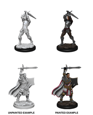 D&d Nolzur Mum Human Male Paladin 2