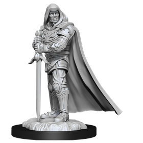 D&D Nolzur Mum Human Male Paladin 3