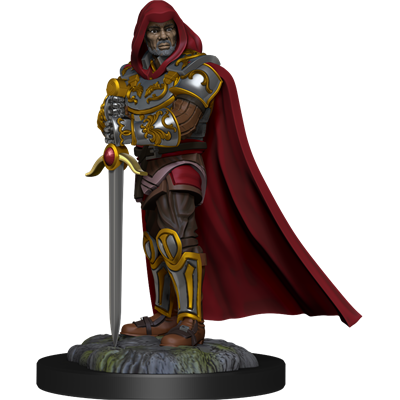 D&D Nolzur Mum Human Male Paladin 3