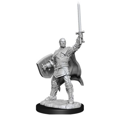 D&D Nolzur Mum Human Male Paladin 3