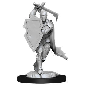 D&D Nolzur Mum Warforged Male Fighter
