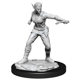 D&D Nolzur Mum Shifter Female Rogue
