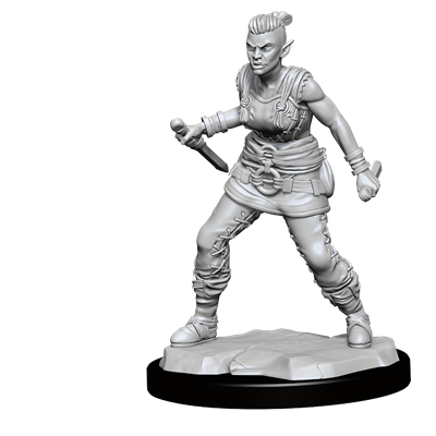 D&D Nolzur Mum Orc Female Barbarian 2