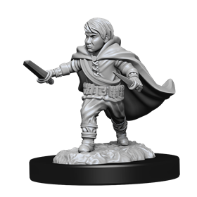 D&D Nolzur Mum Halfling Male Rogue 3