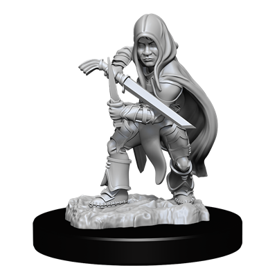 D&D Nolzur Mum Halfling Male Rogue 3