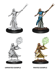 D&d Nolzur Mum Female Elf Sorcerer