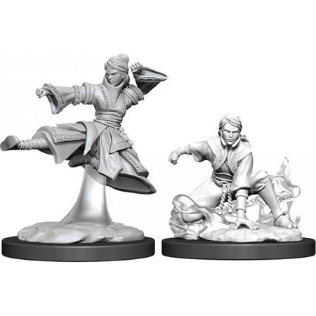 D&d Nolzur Mum Female Human Monk