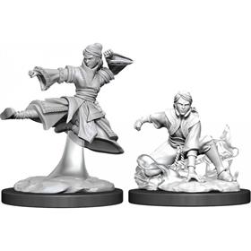 D&d Nolzur Mum Female Human Monk