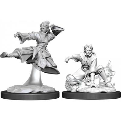 D&d Nolzur Mum Female Human Monk