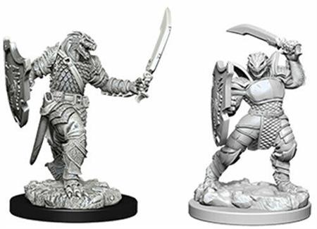 D&D Nolzur's MUM: Dragonborn Paladin Female