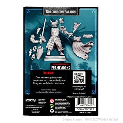 D&D Frameworks-Dragonborn Paladin Male