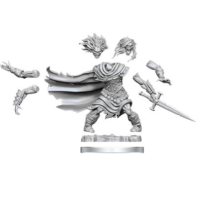 D&D Frameworks-Wight
