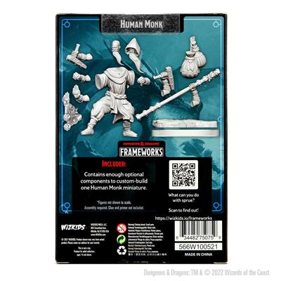D&D Frameworks-Human Monk Male