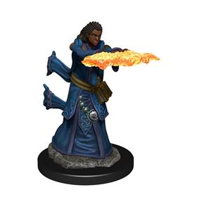 D&D Icons of the Realms Premium Miniature pre-painted Human Wizard Female