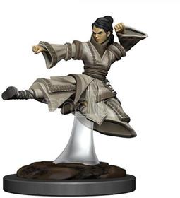 D&D Icons of the Realms Premium Miniature pre-painted Human Monk Female