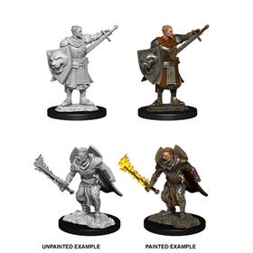 PATHFINDER MINIATURES - Fantamagus Giochi da Tavolo - Giochi di Ruolo -  Miniature - Gadgets - Carte Collezionabili