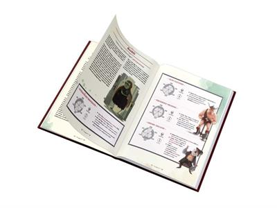 One More Quest - Manuale Base